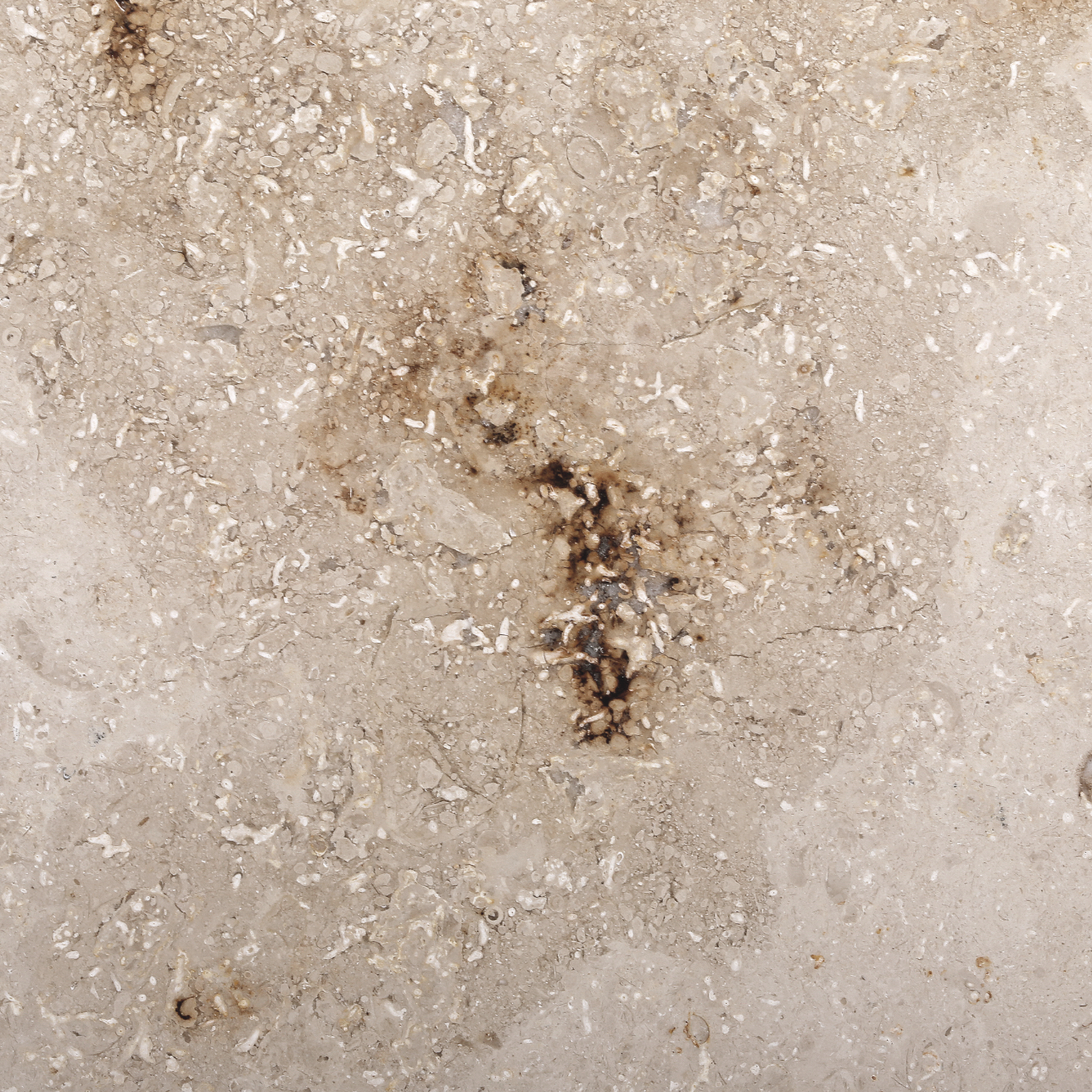 Jura Silver Edition Linear