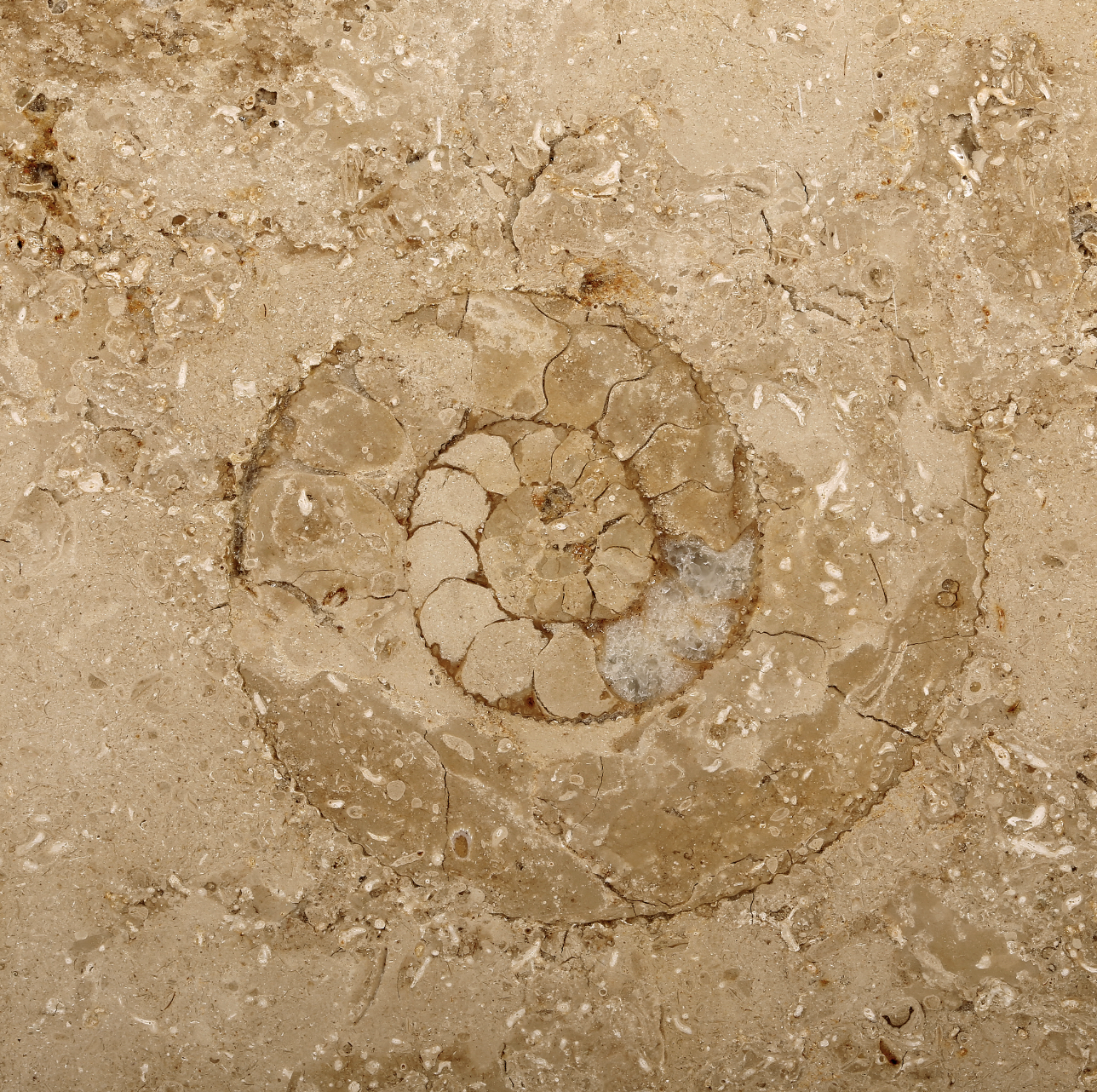 Jura Marble Edition Classic med schweizisk kontakt (J-typ)